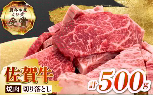 y2x̔_ѐYb܁zꋍ ēp iJrEԐgj 500g yc{YXz[HBH143]  / ꋍ    ؂藎Ƃ ē ē؂藎Ƃ BBQ o[xL[ꌧ]k19000