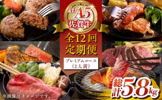 yS12ցzꋍ v~AR[Xi2lOj y΂t[Yz [HCS122]ꌧ]k264000