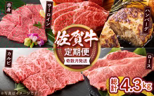 yzꋍb`ZNVցyvXz [HCX006]ꌧ]k114000