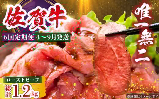 yS6ցzOh̍ꋍ[Xgr[tiP`2lOj200g y̎Ohz ~ јa a ꋍ [Xgr[t [HAA127]ꌧ]k78000