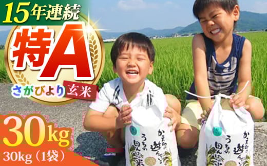 y2025N11zߘa7NY V т  30kgyЂȂނ̂āz [HAC001]   ꌧY A] Ačꌧ]k45000āEpāEGāEāE