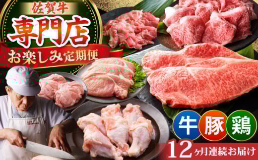 yS12ցzE؁E{ yݒ v13,920g y̎Ohz  ؓ { [HAA145]ꌧ]k340000