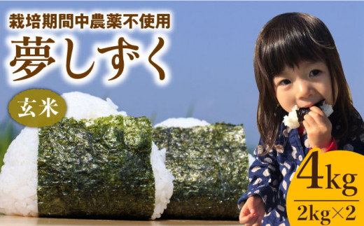 y2025N12zߘa7NY V  (  ) 4kgyk_z [HCA001]ꌧ]k17000āEpāEGāEāE