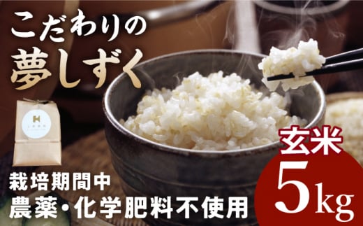 y2025N12zߘa7NY V ̌  5kg yk_z[HCA019] /     ʍ͔|čꌧ]k19000āEpāEGāEāE