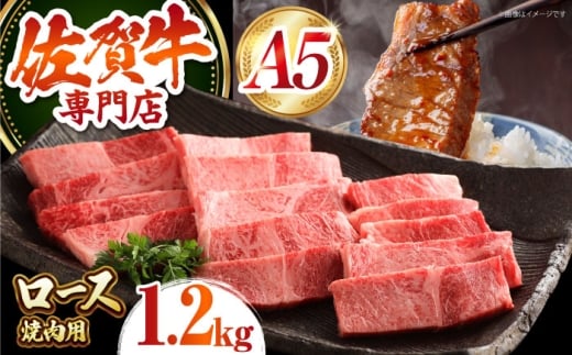 yō A5Nz ꋍ [X ēpi 1.2kg jy̎Ohz~ T[C u[X BBQ [HAA153]ꌧ]k70000