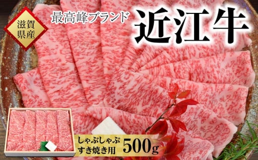 【着日指定必須】近江牛 すき焼き・しゃぶしゃぶ用 500g滋賀県甲賀市22000肉牛肉