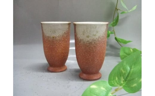 yMyāzXJ[bgFSubgyA[Zbg@nwu-020ꌧbs20000ߗށEiEH|ȋ iEH|i