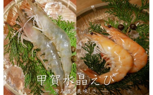 甲賀水晶えび 200g × 2パック滋賀県甲賀市14000魚介・海産物エビ