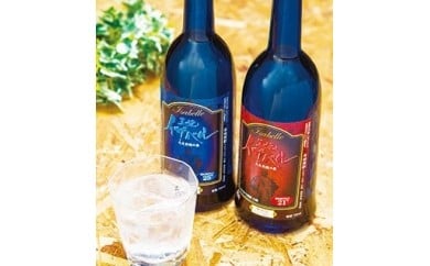 30余年貯蔵したフルーティな風味の粕取り焼酎「イザベル」2本セット大分県臼杵市15000酒・アルコール焼酎