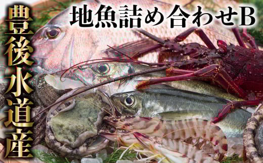 うすき豊後水道物語 豊後水道うすき地魚詰め合わせB大分県臼杵市50000魚介・海産物鮮魚