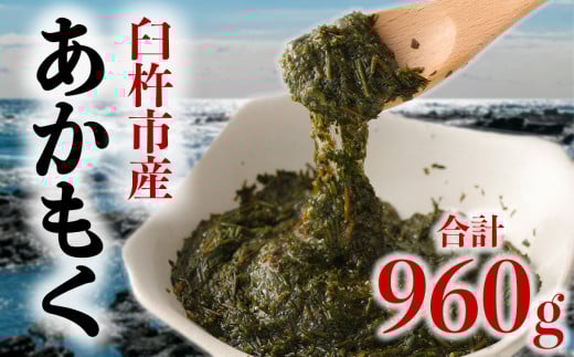 h{LxŃVLVLlolỏPnYuviv960g)啪Pns12000ECŶEC