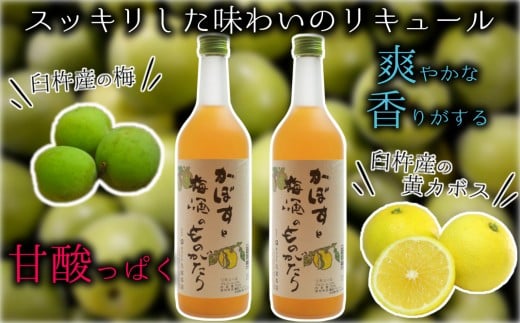 臼杵産のカボスをブレンドした梅酒「かぼすと梅酒のものがたり」2本セット大分県臼杵市11000酒・アルコールウイスキー・洋酒・リキュール