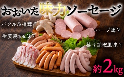 大分の美味しいで、お腹を満たすべし!おおいた味力ソーセージB(計2.28kg)大分県臼杵市18000鍋セット・総菜・加工食品総菜