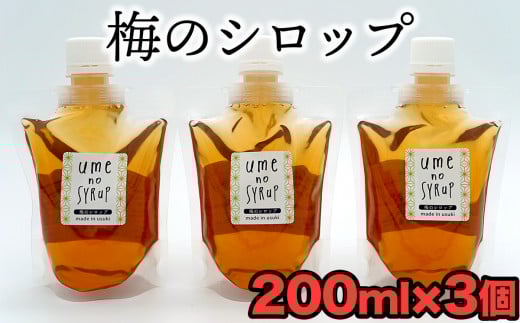臼杵産の梅を使用したシロップ(計600g)大分県臼杵市9000鍋セット・総菜・加工食品その他 鍋セット・総菜・加工食品