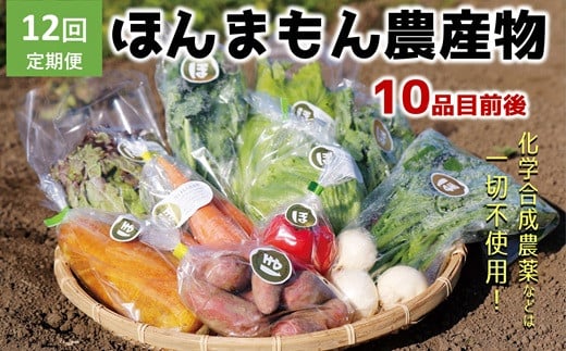 【12ヶ月定期便】化学合成農薬等不使用で栽培!安心安全な「ほんまもん野菜」を10品目前後お届け♪大分県臼杵市144000野菜・きのこその他 野菜