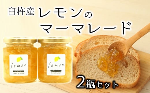 添加物不使用!レモンのマーマレード(2個)大分県臼杵市9000鍋セット・総菜・加工食品ジャム・はちみつ