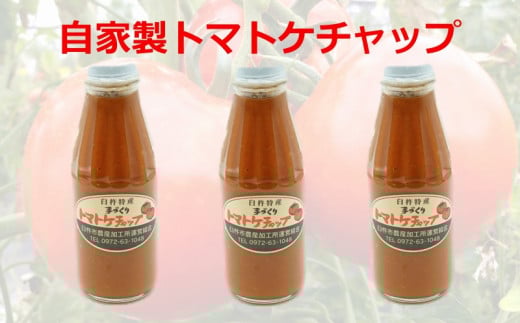 【四季菜彩】完熟トマトケチャップ(3本)大分県臼杵市9000野菜・きのこトマト