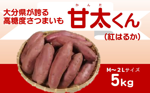 大分県が誇る高糖度さつまいも「甘太くん」5kg大分県臼杵市12000野菜・きのこじゃがいも・イモ類