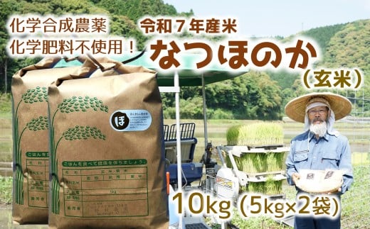 [I[KjbNz]ߘa7NYĂȂق̂ 10kg yāz啪Pns34000āEpāEGāEāE