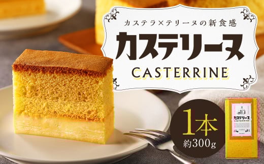 【14営業日以内発送】長崎カステリーヌ 1本 ( 約 300g ) / スイーツ カステラ テリーヌ お菓子 デザート 新感覚 新食感 タナカヤ長崎県長崎市12000菓子・スイーツケーキ・カステラ