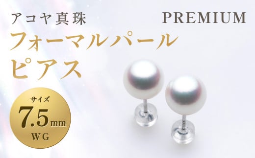 y7cƓȓzsAR^tWG-7.5mm tH[}p[ sAXyPREMIUMz ^ ANZT[ p[ sAX茧s176000ߗށEiEH|iANZT[