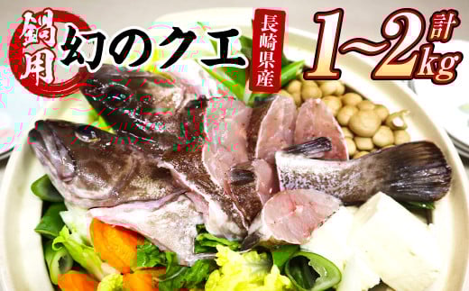 長崎の森で育てた『幻のクエ』 鍋用 5〜6人前(1kg〜2kg前後) くえ 海鮮 魚介類 魚 お魚長崎県長崎市50000魚介・海産物その他 魚介・海産物