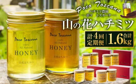 【年4回定期便(1月・4月・7月・10月配送)】山の花 ハチミツ 計1.6kg (200g瓶×2本セット×4回) 蜂蜜 はちみつ リキッドハニー ハニー長崎県長崎市52000鍋セット・総菜・加工食品ジャム・はちみつ