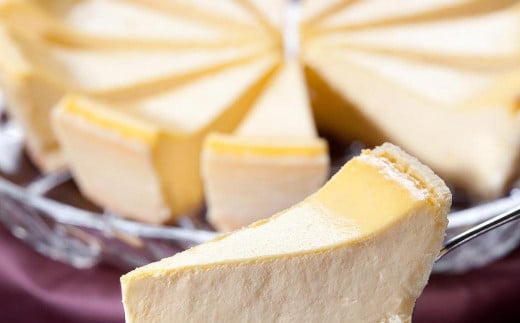 マダム特製 チーズケーキ 10ピース スイーツ デザート おやつ長崎県長崎市12000菓子・スイーツケーキ・カステラ