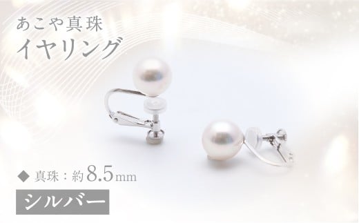 あこや真珠 (約8.5mm珠) イヤリング/シルバー ジュエリー アクセサリー長崎県長崎市170000衣類・装飾品・工芸品アクセサリー