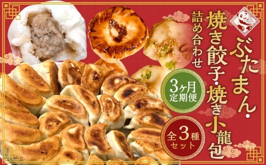 【全3回定期便】【詰め合わせ】ぶたまん 20個 × 焼餃子10個 × 焼小籠包8個 セット 詰合せ 惣菜 ぎょうざ 豚まん 豚饅 ギョーザ 中華 国産豚 豚肉 長崎長崎県長崎市44000鍋セット・総菜・加工