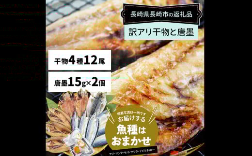 󂠂肨܂ 4 (12) ƃJX~lߍ킹 ^ Ђ C̍K  CN n 炷 茧 s茧s14000ECY
