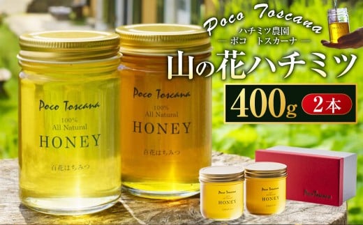 山の花 ハチミツ 400g瓶 × 2本 セット 合計800g はちみつ 蜂蜜 ハニー 非加熱 長崎長崎県長崎市22000鍋セット・総菜・加工食品ジャム・はちみつ