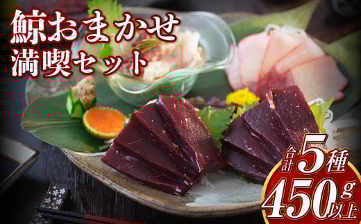 【7営業日以内発送】鯨 おまかせ 満喫セット 5種類以上 約450g以上 食べ比べ セット くじら 鯨肉 おつまみ 珍味長崎県長崎市30000魚介・海産物鮮魚