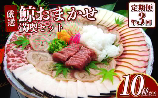 【年3回定期便(4月・8月・12月配送)】鯨おまかせ満喫セット(10種類以上) 鯨 クジラ くじら 詰め合わせ 長崎長崎県長崎市335000魚介・海産物貝類