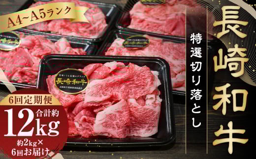 【全6回定期便】【A4〜A5ランク】長崎和牛特選切り落とし 約2kg (200g×10パック) 長崎 牛肉 肉 牛 和牛 国産牛 国産 長崎和牛 すき焼き 焼肉 バーベキュー 小分け 冷凍長崎県長崎市219000肉牛肉