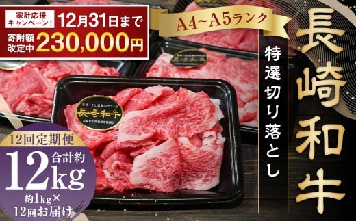 yԌI`1231܂Ŋ񕍊zzS12 A4`A5N a I ؂藎Ƃ 1kg (200g×5pbN)     a Y Y茧s230000