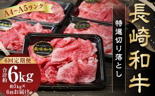 【全6回定期便】【A4〜A5ランク】長崎和牛 特選 切り落とし 約1kg (200g×5パック) 牛肉 肉 牛 和牛 国産牛 国産 長崎和牛長崎県長崎市120000肉牛肉
