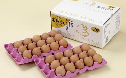「長崎彩黄卵」 朝採れ玉子 30個入り 鶏卵 採れたて 新鮮卵 たまご タマゴ 冷蔵 長崎長崎県長崎市11000卵・乳製品卵(鶏、烏骨鶏等)