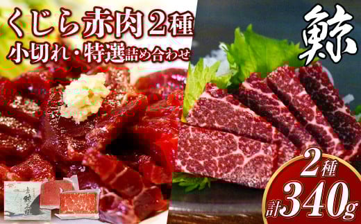 y7cƓȓz ԓ2lߍ킹 (؂EI) v340g ^ ~ NW ~ ~茧s11000̑ 