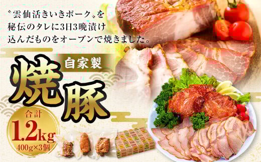 自家製焼豚 400g×3個セット / 国産 豚 豚肉 加工肉 タレ 雲仙活きいきポーク長崎県長崎市29000肉その他 肉