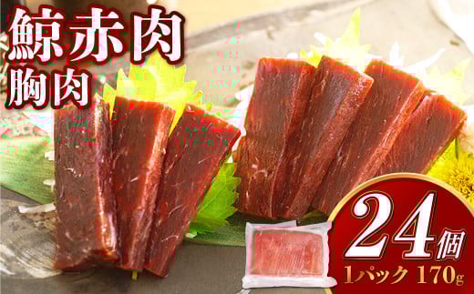 y7cƓȓz~ԓ 170g×24Zbg ^ ~  NW ~hg ~ ~ 當 CV~ I 茧 s茧s60000ECY̑ ECY