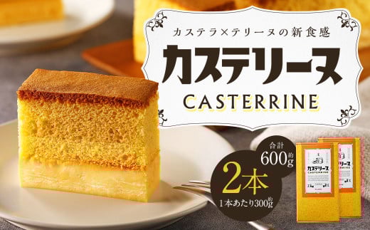 【14営業日以内発送】長崎カステリーヌ 2個セット 計600g (約300g×2)  / タナカヤ カステラ かすてら スイーツ デザート お菓子 菓子 長崎県 長崎市長崎県長崎市22000菓子・スイーツケーキ・カ