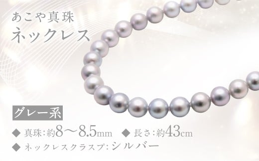 ^ (8-8.5mmAO[n) lbNX ^ ANZT[ WG[ p[ 茧 s茧s600000ߗށEiEH|iANZT[