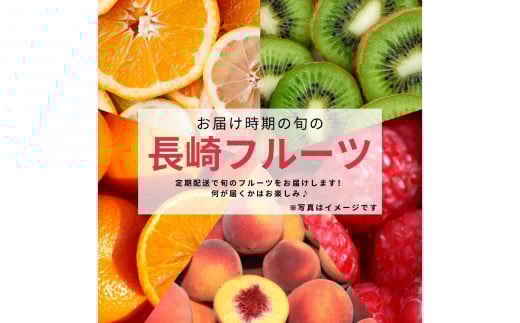 yN4(3E6E9E12z)zCt[cIM ^  t[c ʕ  { ܂ C y 茧 s茧s106000ʕEt[c̑ ʕEt[c