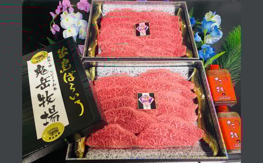 yS6ցzo΂炢ցig킹Rj ^CvA ^ a Y   Ă ē Ԃ Ă Xe[L BBQ o[xL[ 茧 s茧s400000