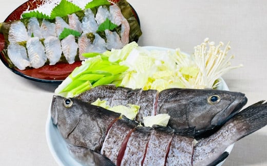 長崎の森で育てた『幻のクエ』 【セット】昆布〆 刺身用 5〜6人前、鍋用 5〜6人前 (1kg〜2kg前後×2) / 海鮮 魚介 高級魚 刺身 刺し身 鍋 お鍋 セット クエ 養殖 長崎県 長崎市長崎県長崎市100000