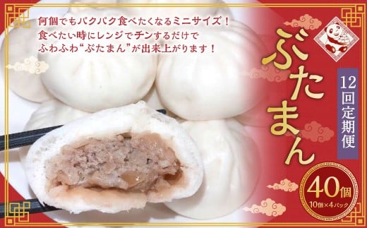 【全12回定期便】長崎ぶたまん 40個 / 中華 点心 惣菜 豚肉 豚まん 長崎県 長崎市長崎県長崎市176000鍋セット・総菜・加工食品その他 鍋セット・総菜・加工食品