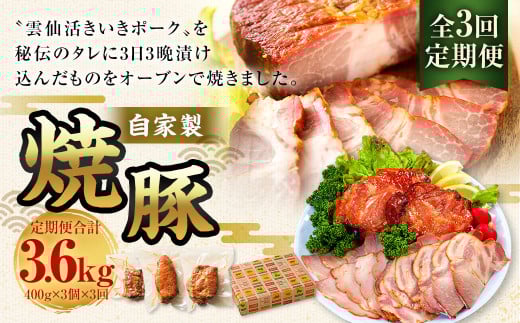 【全3回定期便】自家製焼豚 400g×3個セット /合計3.6kg (9個) 惣菜 豚 豚肉 自家製 秘伝のタレ 雲仙活きいきポーク 長崎県 長崎市長崎県長崎市87000肉豚肉