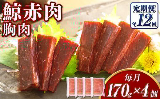 yS12ցz ~ ԓ  170g×4Zbg ^ ~  NW ~ ~ 當 CV~ I 茧 s茧s131000ECYL