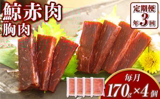 yS3ցz ~ ԓ  170g×4Zbg ^ ~  NW ~ ~ 當 CV~ I 茧 s茧s33000ECY̑ ECY